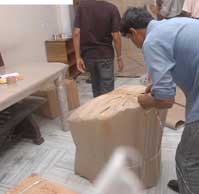 just do packers and movers